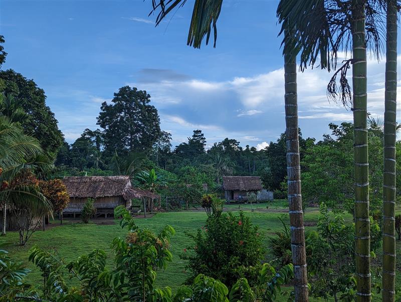 Village grounds surrounded by palms and tropical greenery